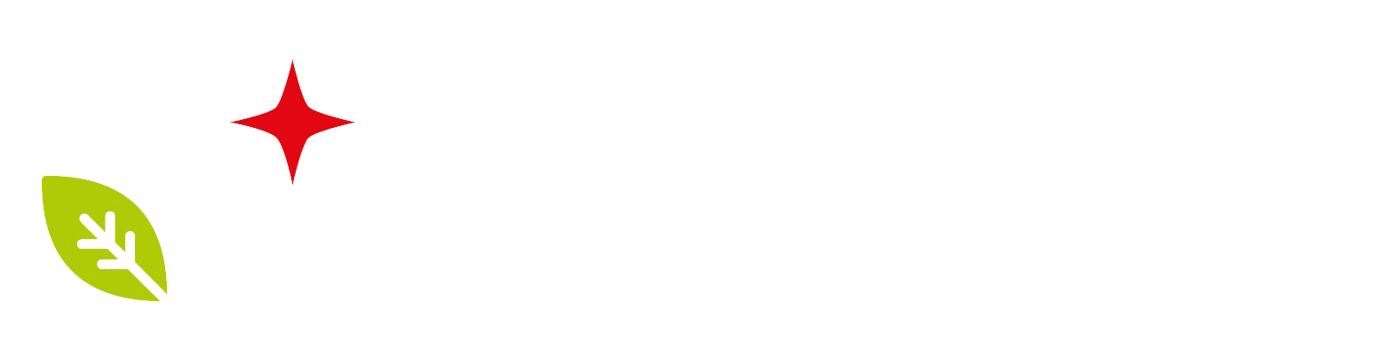 domusman.it