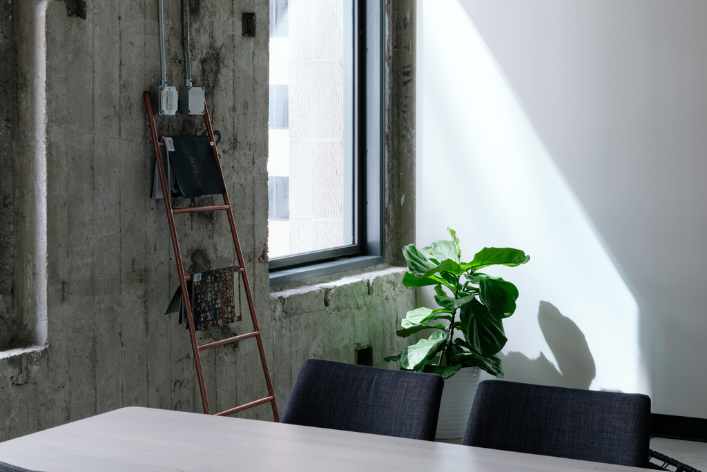 table-plant-white-house-interior-window-1392240-pxhere-com.jpg